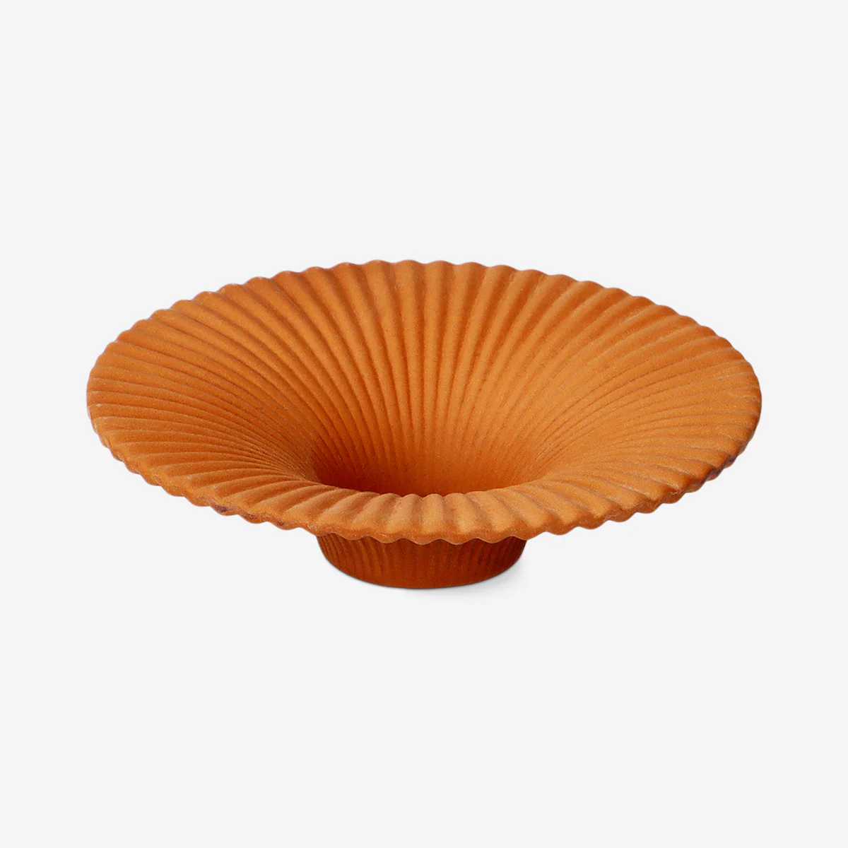 Avokado Yetiştirme Tabağı - Image 3