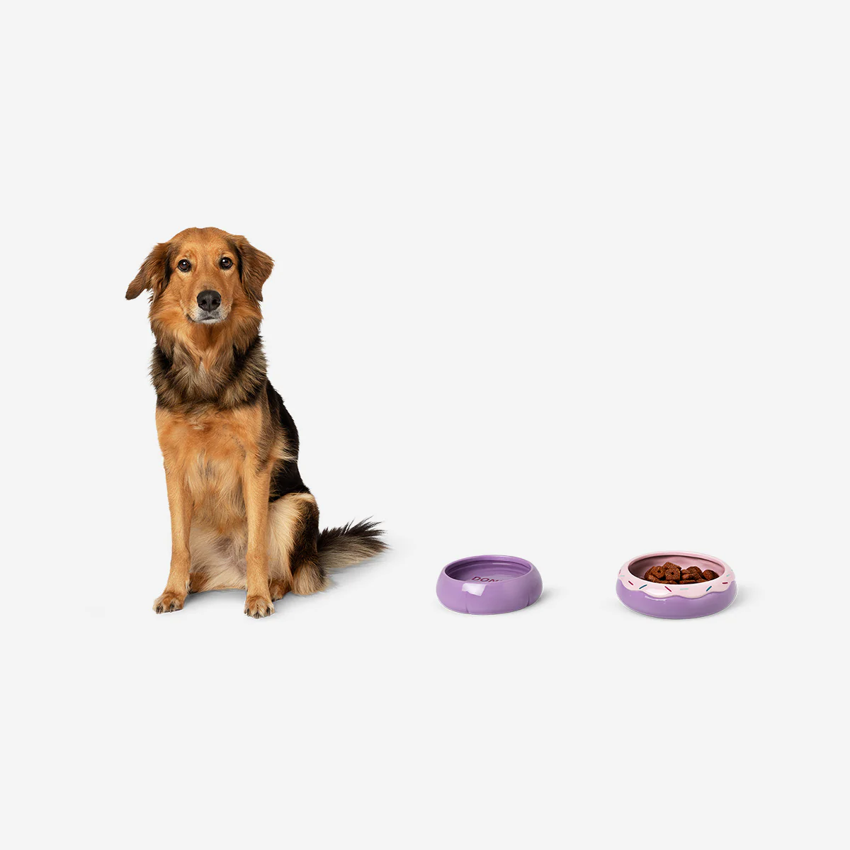 Donut Şeklinde Mama ve Su Kabı - Image 4