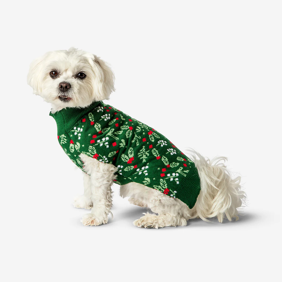 Yılbaşı Temalı Köpek Kazağı - Image 2